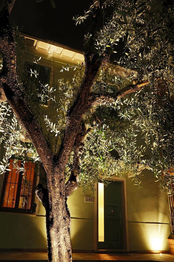 B&B Ulivo Gaio San Miniato Exterior foto