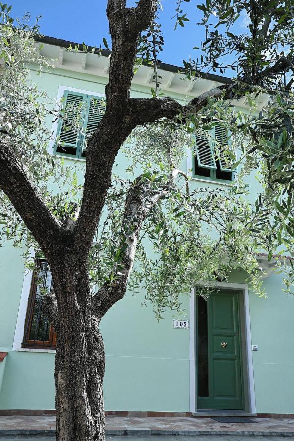 B&B Ulivo Gaio San Miniato Exterior foto